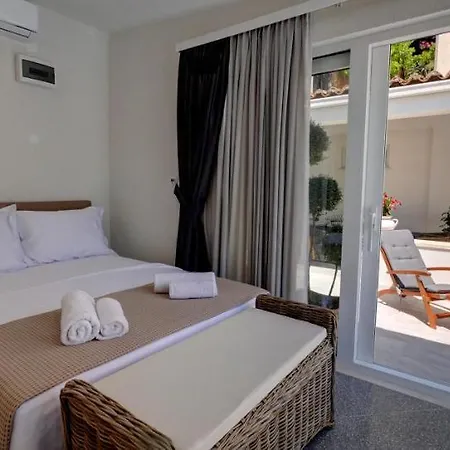 Franklin With Swimming Pool Villa Dubrovnik