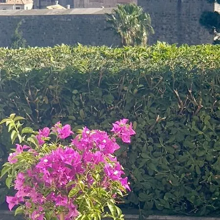 Franklin With Swimming Pool