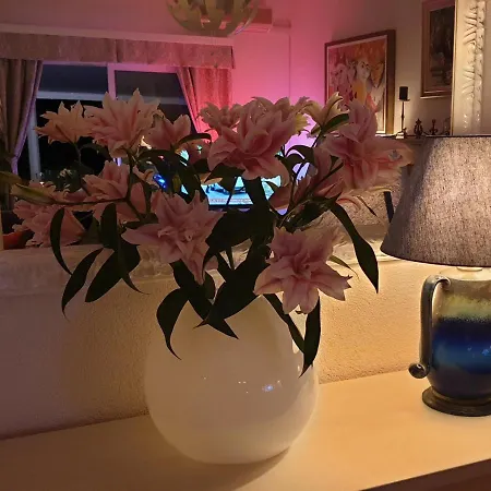 וילה Franklin With Swimming Pool *