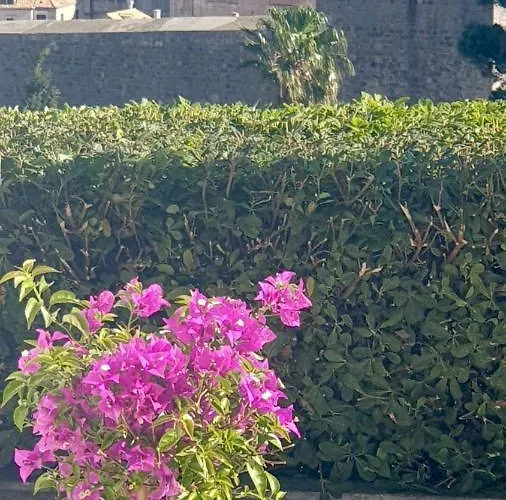 Franklin With Swimming Pool